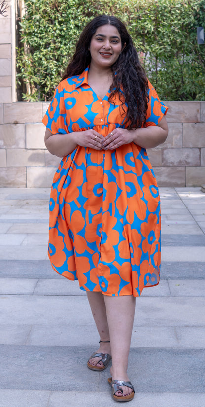 Sunpop Bloom Collar Dress